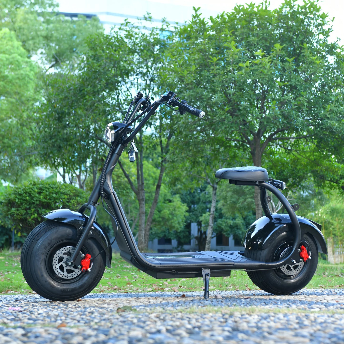 EHOODAX Citycoco Electric Scooter Max Speed 45KM/H 1000W Motor 60V12AH Max Range 25KM Two Wheel Electric Motorcycle Bike